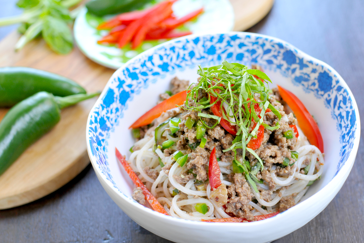 Rice Noodles w/ Coconut-Braised Bison & Peppers (gluten-free, paleo-ish) // the pig & quill