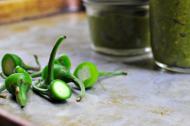 Homemade Green-Chili Garlic Sauce | www.thepigandquill.com | #glutenfree #vegan #paleo